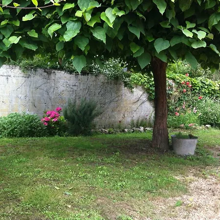Gite Des Petites Poules Rousses 9 Personnes Zoo Beauval Et Chateaux De La Loire Choussy Exterior photo