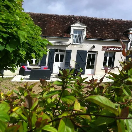 Gite Des Petites Poules Rousses 9 Personnes Zoo Beauval Et Chateaux De La Loire Choussy Exterior photo